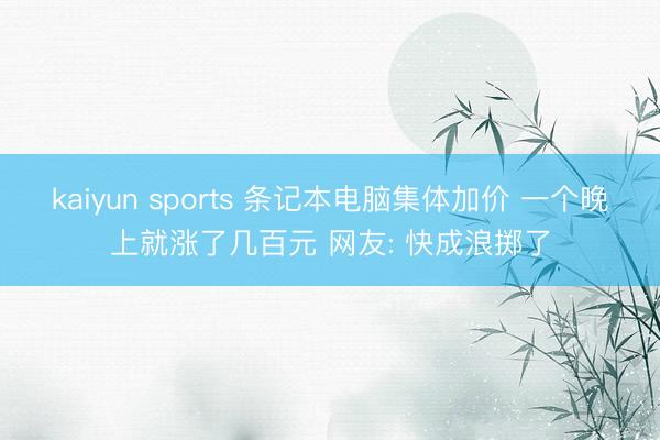 kaiyun sports 条记本电脑集体加价 一个晚上就涨了几百元 网友: 快成浪掷了
