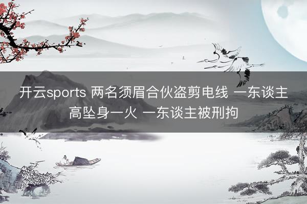 开云sports 两名须眉合伙盗剪电线 一东谈主高坠身一火 一东谈主被刑拘