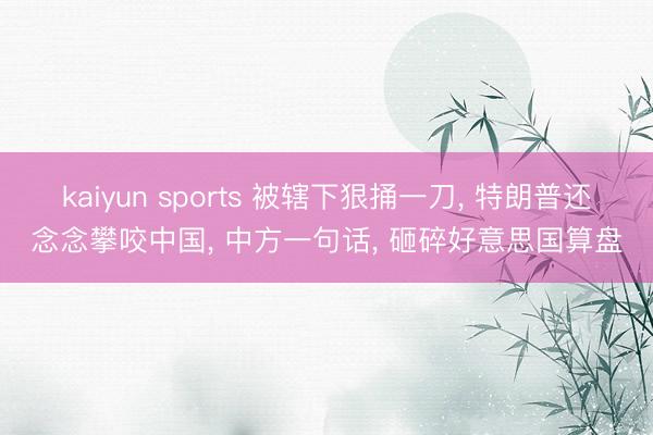 kaiyun sports 被辖下狠捅一刀, 特朗普还念念攀咬中国, 中方一句话, 砸碎好意思国算盘