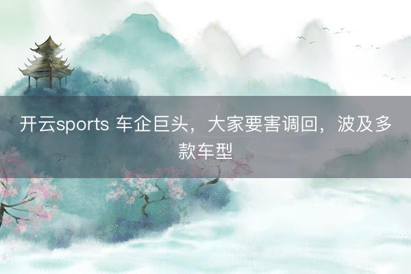 开云sports 车企巨头，大家要害调回，波及多款车型