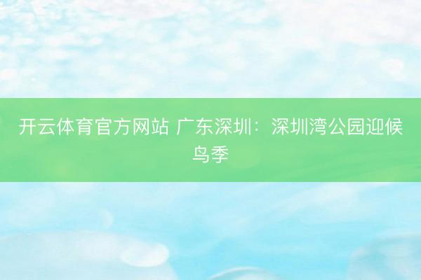开云体育官方网站 广东深圳：深圳湾公园迎候鸟季