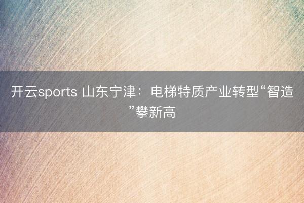 开云sports 山东宁津：电梯特质产业转型“智造”攀新高