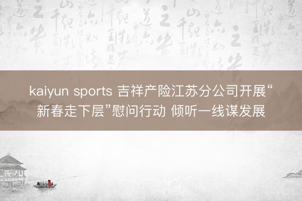 kaiyun sports 吉祥产险江苏分公司开展“新春走下层”慰问行动 倾听一线谋发展