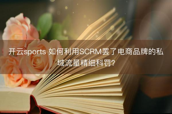 开云sports 如何利用SCRM罢了电商品牌的私域流量精细科罚？