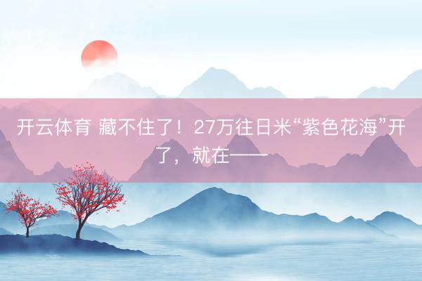 开云体育 藏不住了!27万往日米“紫色花海”开了,就在——