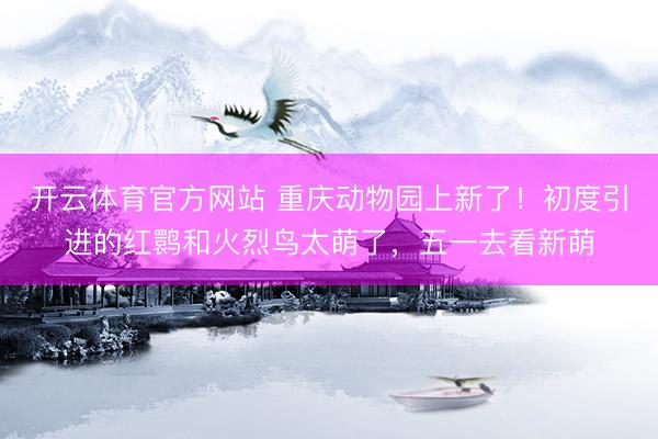 开云体育官方网站 重庆动物园上新了！初度引进的红鹮和火烈鸟太萌了，五一去看新萌