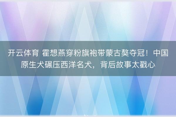开云体育 霍想燕穿粉旗袍带蒙古獒夺冠！中国原生犬碾压西洋名犬，背后故事太戳心